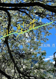夏恋和夏烟火是同一首歌吗